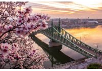 HELLÓ TAVASZ - tavaszváró kedvezmények feketeedény mosogató gépekre