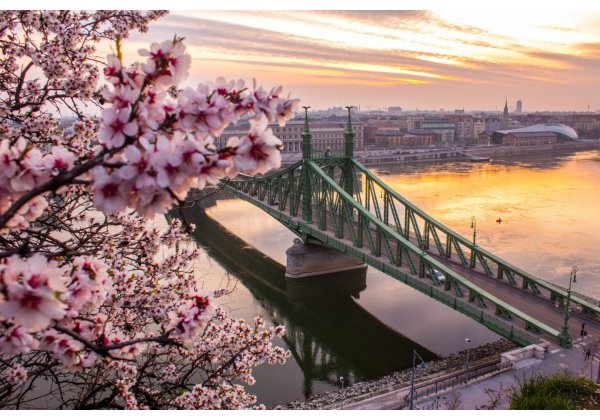 HELLÓ TAVASZ 2026 - kedvezmények ARISTARCO jéggépekre