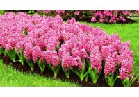 HELLÓ TAVASZ - kedvezmények ARISTARCO jéggépekre