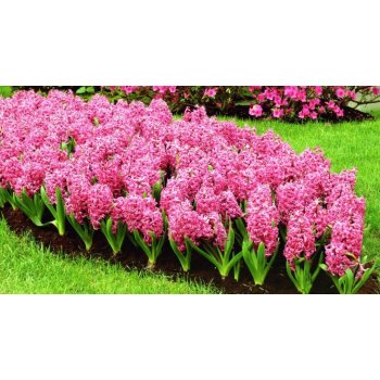 HELLÓ TAVASZ - kedvezmények ARISTARCO jéggépekre