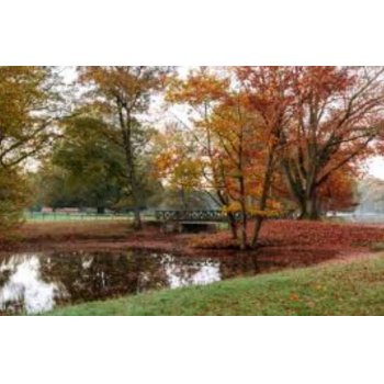 Helló Ősz -  AKCIÓ elektromos főzőüstökre - Gasztrometál