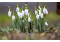 Helló Tavasz - AKCIÓ Gasztrometál alapgépre és egyes tartozékokra