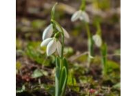 TAVASZVÁRÓ Ajánlatok - SPIDOCOOK és HENDI kontakt grill sütőkre