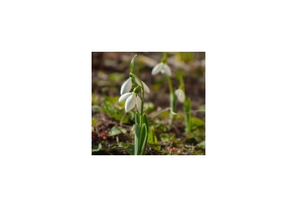 TAVASZVÁRÓ Ajánlatok - SPIDOCOOK és HENDI kontakt grill sütőkre