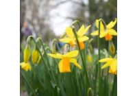 TAVASZVÁRÓ Ajánlatok - SPIDOCOOK és HENDI kontakt grill sütőkre