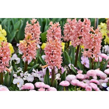 Helló Tavasz - AKCIÓ Gasztrometál alapgépre és egyes tartozékokra