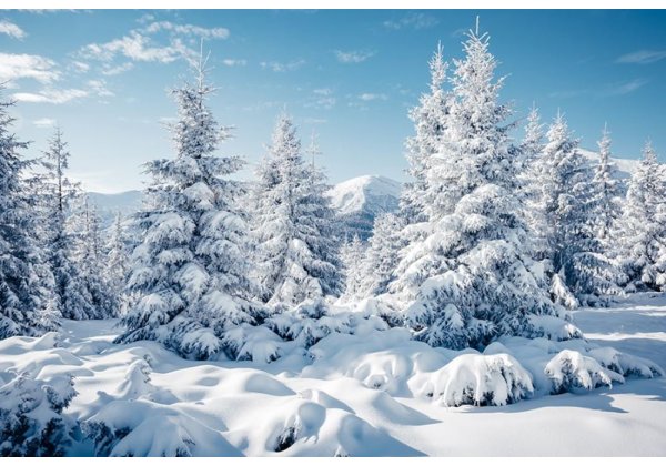 HELLÓ TÉL - kedvezmény ARISTARCO jéggépekre