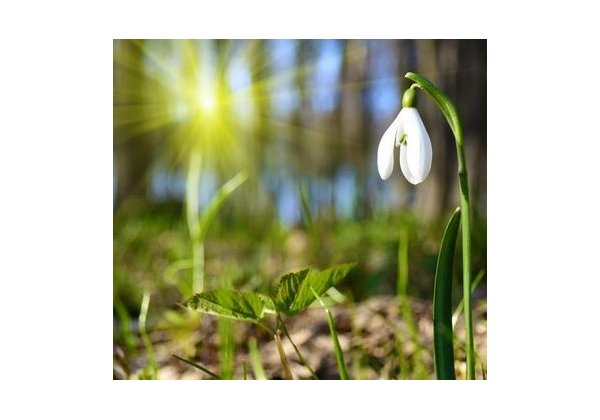 TAVASZVÁRÓ Ajánlatok - SPIDOCOOK és HENDI kontakt grill sütőkre