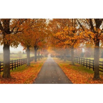 HELLÓ ŐSZ - kiemelt kedvezmények nagykonyhai statikus sütőkre