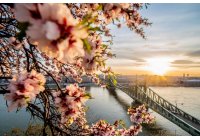 Liebherr FRPSvg 1402 - felső aggregátos, rm. acél külső-belső, GN2/1, 1360 lt. ventilációs hűtőszekrény