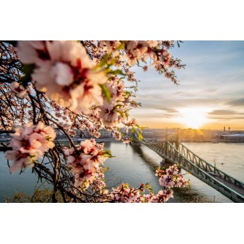 TAVASZ VÁRÓ AKCIÓ - Robot-Coupe Kutterekre, részletek üzletünkben