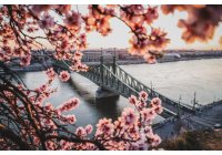 HELLÓ TAVASZ 2026 - kedvezmények megjelölt mosogatógépekre 50*50 cm kosárral