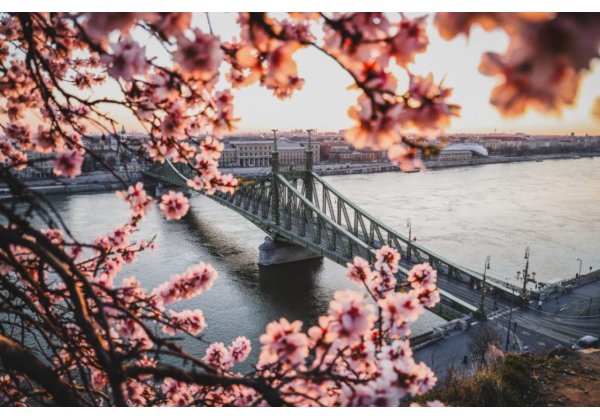 HELLÓ TAVASZ 2026 - kedvezmények megjelölt mosogatógépekre 50*50 cm kosárral