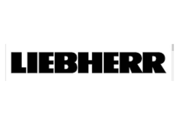 Liebherr EFE 6052 - üveg tolótetős mélyhűtő láda, 593 literes