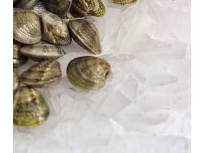 ARISTARCO SPS Serie - Flat Ice Flakes jéggép 250-1500kg/nap